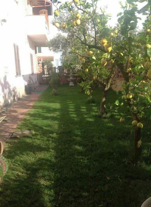 Su Suergiu Villa San Giovanni Suèrgiu Dış mekan fotoğraf